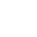 e-visa
